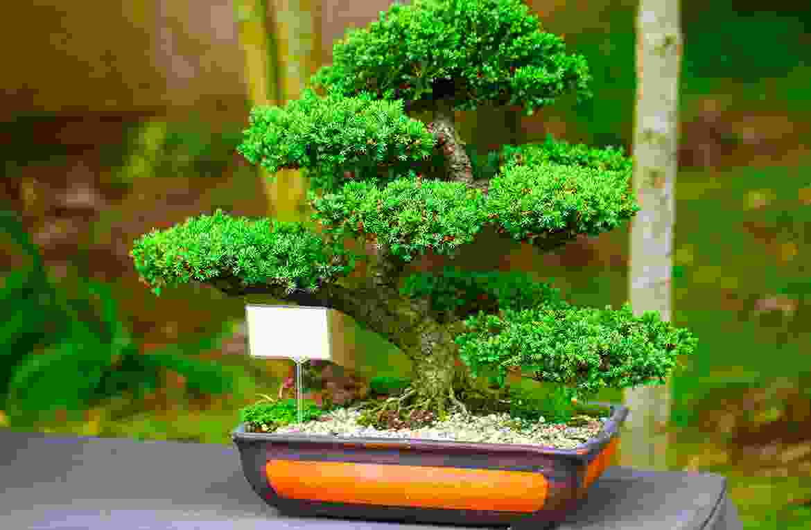 blog13