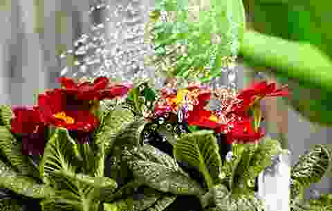 caption1