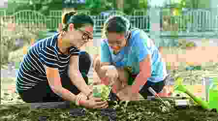 gardening-img1