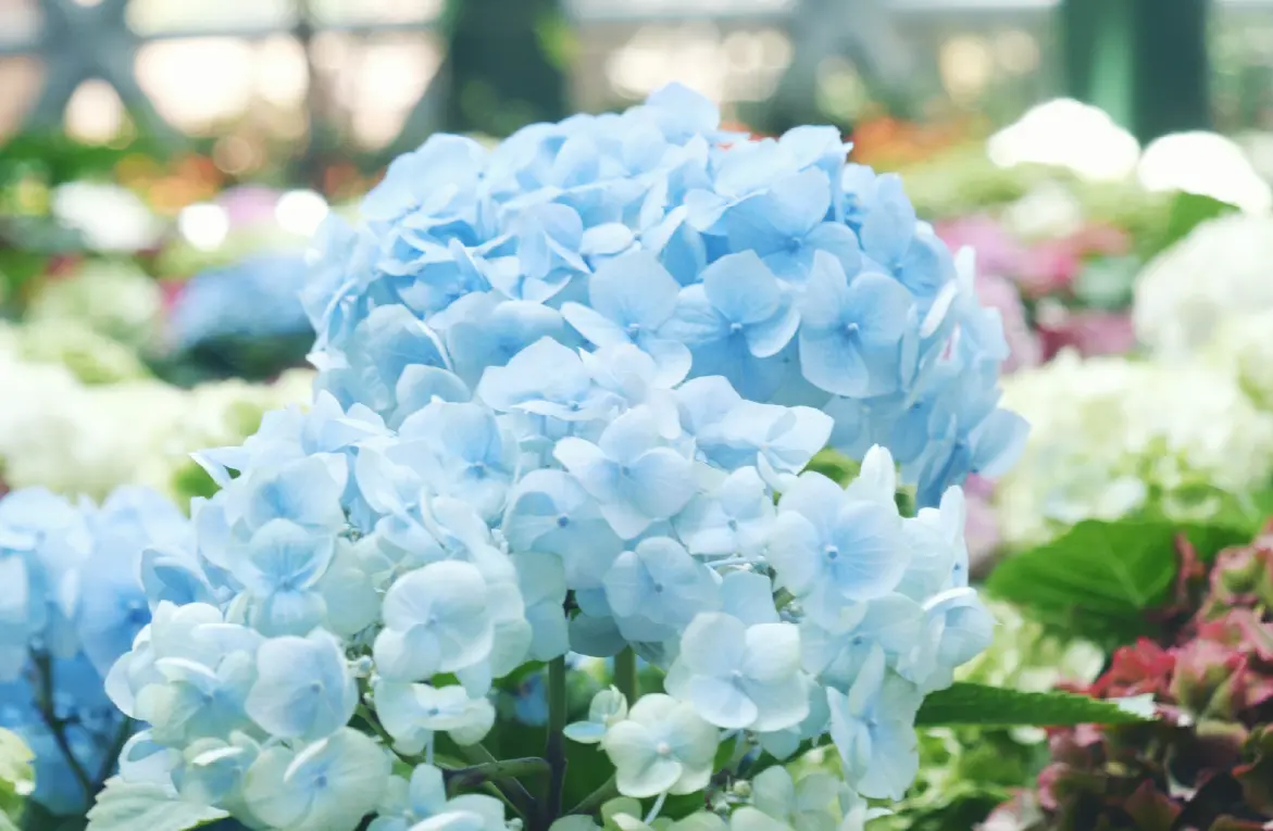 BLOG_IMAGES-02