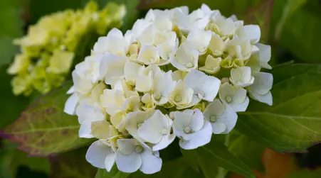 Home_IMAGES-16