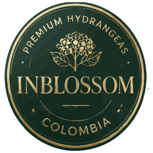 LOGO-02